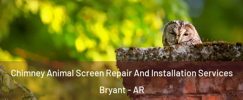  Chimney Animal Screen Repair And Installation Services Bryant - AR