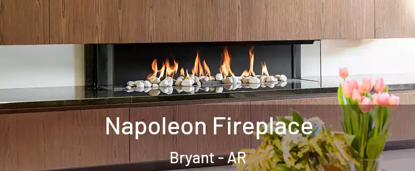  Napoleon Fireplace Bryant - AR